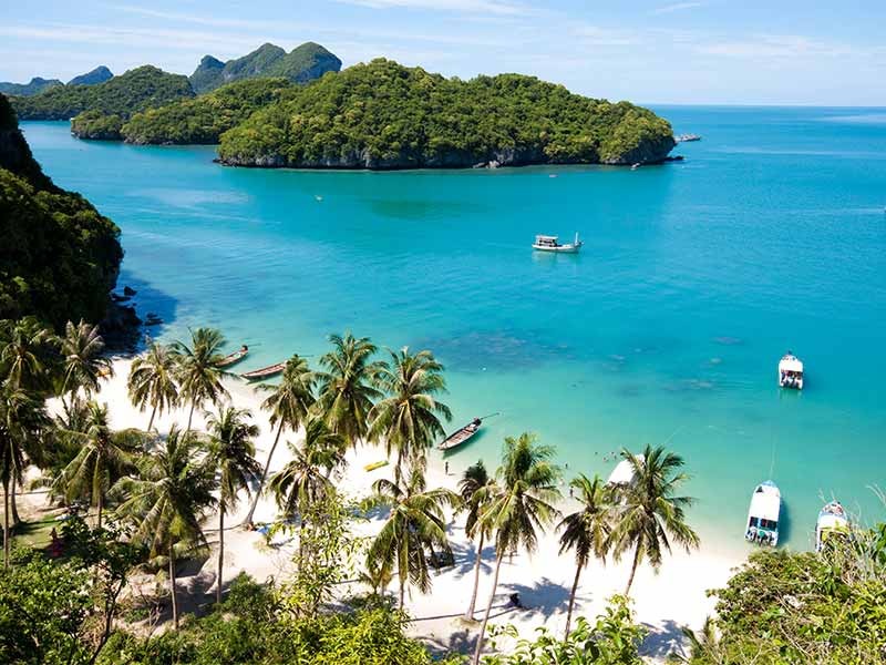 Sunny beach with palm trees in Koh Samui