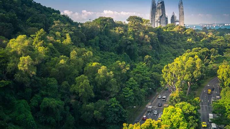 Green city
