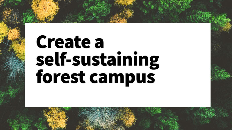 What if a real estate company could create a self-sustaining forest campus